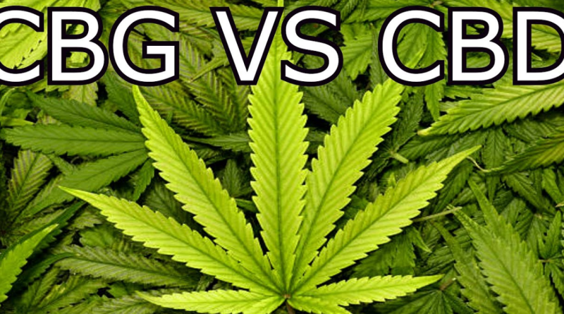 What Is CBG vs CBD: A Complete Guide