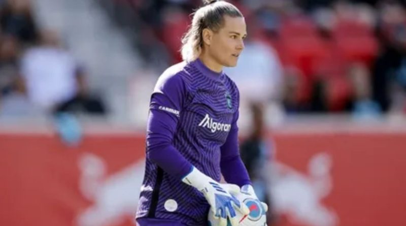 LucyWells JerseyExpress Net: Tips and News for Daily Readers